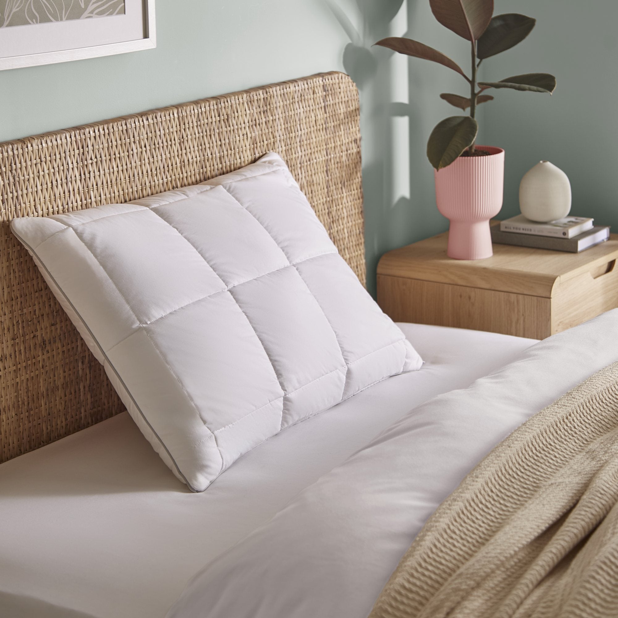 Fine Bedding Natural Latex Foam Pillow