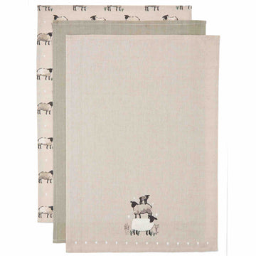 Highland Sheep 3 Pack Tea Towels - Williamsons Home