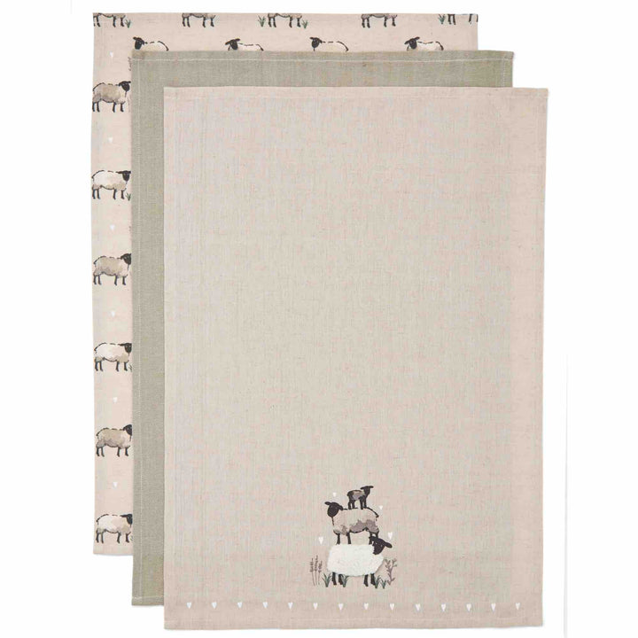 Highland Sheep 3 Pack Tea Towels - Williamsons Factory Shop