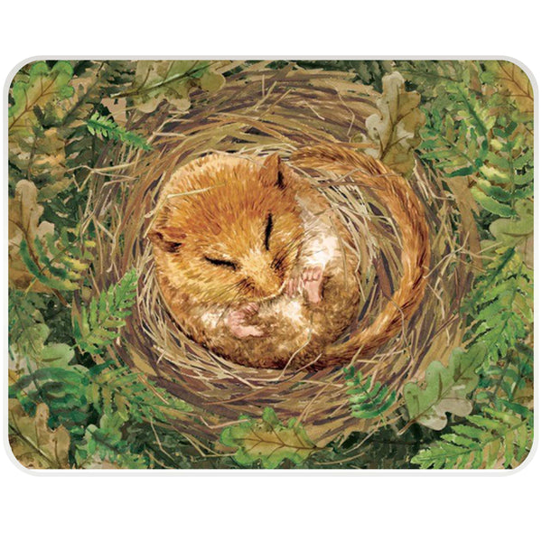 National Trust Dormouse Worktop Protector - Williamsons Factory Shop
