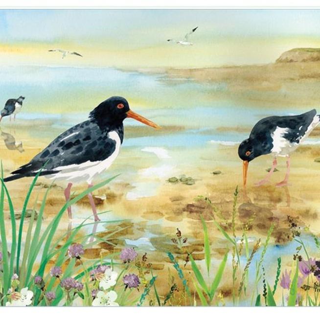 National Trust Oyster Catcher Worktop Protector-Williamsons Factory Shop