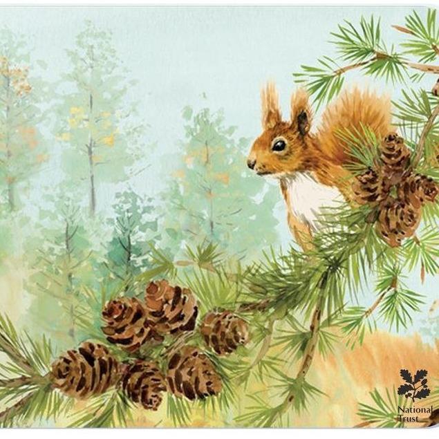 National Trust Red Squirrel Worktop Protector-Williamsons Factory Shop